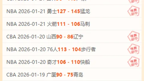 海鸥队逆袭，维尔贝克制胜一击击败喜鹊队